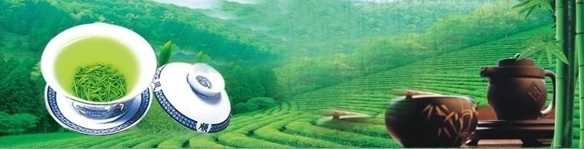 品牌介绍